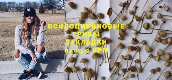 а пвп мука Балабаново
