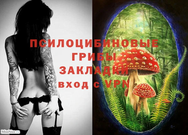 мескалин Балахна