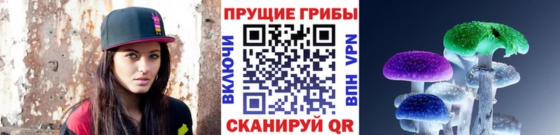 где купить наркотик  Пересвет  Псилоцибиновые грибы Magic Shrooms 